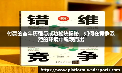 付豪的奋斗历程与成功秘诀揭秘，如何在竞争激烈的环境中脱颖而出
