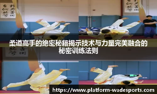 柔道高手的绝密秘籍揭示技术与力量完美融合的秘密训练法则